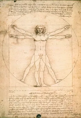 Produktbild von Leonardo da Vinci Poster Anatomy Vitruvian Man 62 x 93 cm