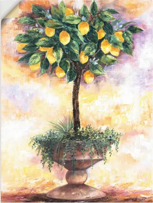 Produktbild von ARTland Wandbild, selbstklebend Zitronenbaum Größe: 90x120 cm