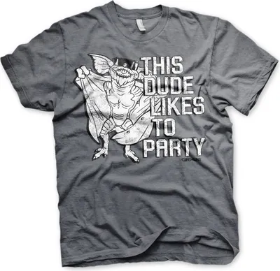 Produktbild von This Dude Likes To Party T-Shirt - X-Large - Dark-Heather