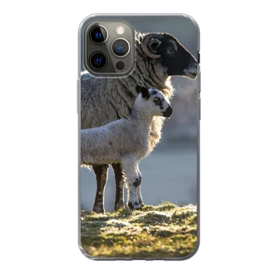 Produktbild von MuchoWow® Handyhülle Schutzhülle Hülle für iPhone 12 Pro Schaf - Lamm - Sonne Silikon Softcase Handy Hülle - Abdeckung