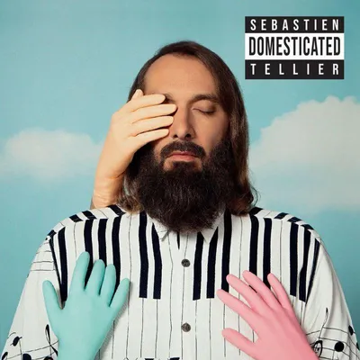 Image de Sbastien Tellier - Vinyle domestiqué