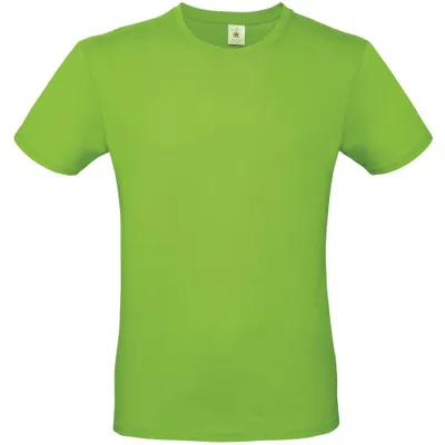 Image de T-shirt homme B&C #E150 FK133 (M) (vert clair)
