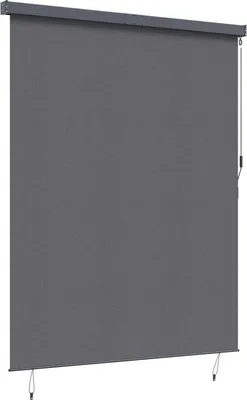 Immagine prodotto di Tenda a rullo vidaXL, antracite, 200 x 250 cm, tessuto e alluminio