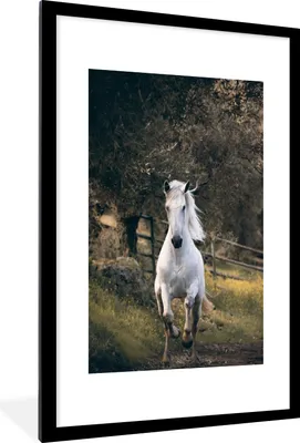 Produktbild von MuchoWow® MuchoWow® Gerahmtes Poster Pferd - Natur - Schlamm 60x90 cm - Poster mit zchwarzem Bilderrahmen - Dekoration - Wandposter Wohnzimmer - Hochwertig