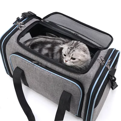 Produktbild von Katzen Transportboxen, Faltbare Hundetasche, Atmungsaktive Katzentasche für Katze, Kleine Hunde im Auto, Fugzeug oder in der Bahn, 53x30x31 cm