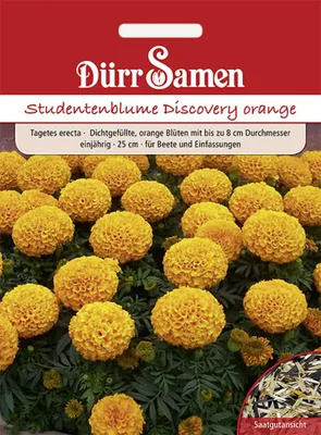 Produktbild von Dürr-Samen - Studentenblumen Discovery orange einjährig 25 cm - Saatgut - 4212