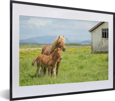 Produktbild von MuchoWow® MuchoWow® Gerahmtes Poster Pferde - Fohlen - Gebirge 40x30 cm - Poster mit zchwarzem Bilderrahmen - Bilderrahmen - Poster im Rahmen