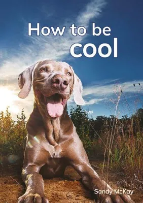 Produktbild von How to be cool