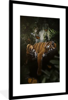 Produktbild von MuchoWow® MuchoWow® Gerahmtes Poster Tiger - Dschungel - Schmetterling 60x90 cm - Poster mit zchwarzem Bilderrahmen - Dekoration - Wandposter Wohnzimmer - Hochwertig
