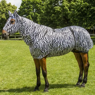 Produktbild von Equithème Anti-Ekzem-Maske - zebra