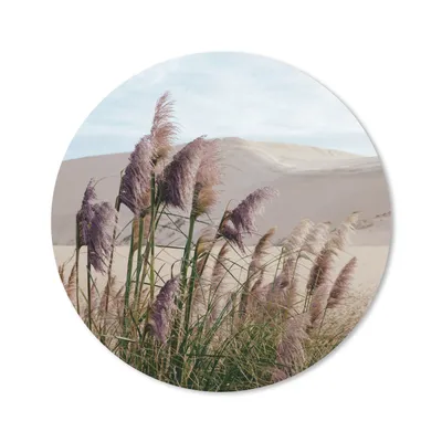 Produktbild von MuchoWow® Mauspad Mousepad Pampasgras - Sand - Pflanzen - Düne 30x30 cm - Mousepads - Maus Mat - Pad - Mausunterlage - Tischunterlage - Schreibtischmatten