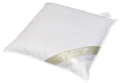 Produktbild von Betten Hofmann Kleinkissen 45x45 cm 300 g Kuschelkissen Sofakissen Dekokissen