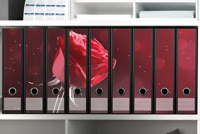 Produktbild von Wallario Ordnerrücken Sticker, selbstklebend für breite Ordner, 9 Stück, Motiv Rote Rose Single