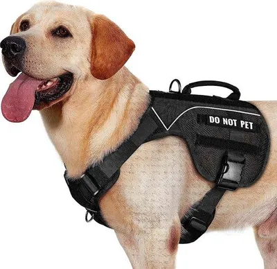 Immagine prodotto di Imbracatura per cani Unyqoos® Air-Mesh, realizzata in nylon 1000D, traspirante, con strisce riflettenti, 1 maniglia di controllo, 2 anelli a D, ad asciugatura rapida e sistema MOLLE