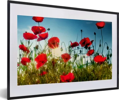 Produktbild von MuchoWow® Gerahmtes Poster Mohnblumen - Toskana - Sonne - Rot - Blau 60x40 cm - Poster mit Schwarzem Bilderrahmen Wandposter Rahmen Foto Bilder - Schlafzimmer - Plakat in Rahmen - Drucken