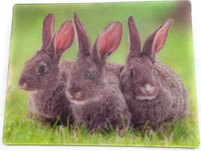 Produktbild von Onwomania Hase Hasenfamilie niedlich 9x7cm 3D Magnet Karte Kühlschrankmagnet Magnetbild Heftmagnet braun