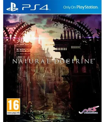Zdjęcie produktu dla Tecmo Koei NAtURAL DOCtRINE, PlayStation 4, od 17 lat