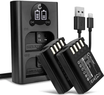 Image de CELLONIC 2x Batterie pour Appareil photo Compatible avec Panasonic Lumix GH5, Lumix G9, Lumix GH5S, DMW-BLK22 - (1600mAh, 7.4V) + Chargeur Double