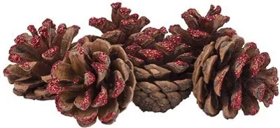 Produktbild von 6 Tannenzapfen Rot Glitzer 4 cm - Einheitsgröße