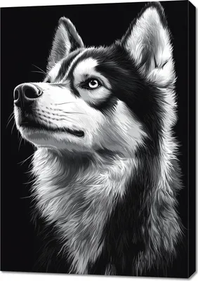 Produktbild von Bild 70x100cm Tierporträt für das Wohnzimmer | Husky | Schwarz Weiß
