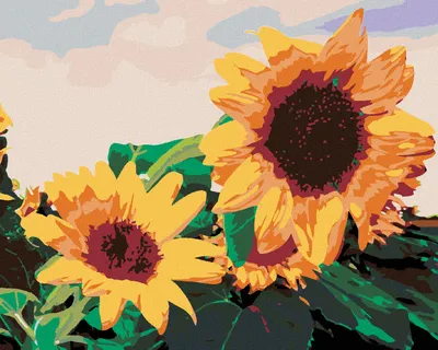 Produktbild von Zuty - MALEN NACH ZAHLEN - SONNENBLUMEN I., 40x50 cm, ohne Keilrahmen