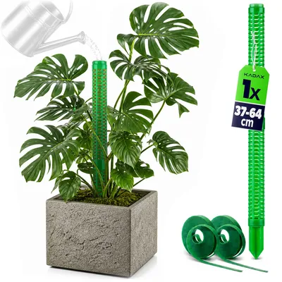 Produktbild von KADAX Moosstab 64 cm mit Gießhilfe, Rankhilfe für Kletterpflanzen, Pflanzstab zum Befüllen mit Moos, Rankstab mit Klettband für Monstera
