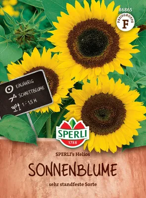 Produktbild von Sonnenblume Helios | Sonnenblumensamen von Sperli