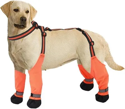 Imagen del producto de Zapatos reflectantes para perros - Zapatos impermeables para perros - Calzado de protección para perros - Zapatos para perros de color naranja - Poliéster - Talla M - Cinta reflectante