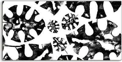 Produktbild von Coloray Spritzschutz aus Glas 140x70  Wandkunst Küchenrückwand Schwarz-Weiß Tropischer Dschungel