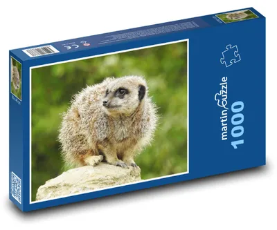 Zdjęcie produktu dla Puzzle 1000 Surikatka na skale w przyrodzie - martinpuzzle