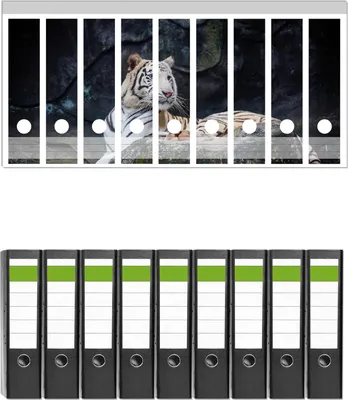 Produktbild von Wallario 9 Stück breite Ordner inkl. Klebeetiketten mit Motive Weißer Tiger auf einem Felsen -  Set mit Rückenschildern / Ordnerrücken Stickern