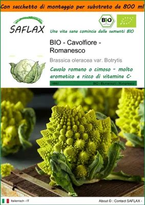 Immagine prodotto di SAFLAX Garden in the bag -- Cavolfiore - Romanesco - 50 semi - Brassica