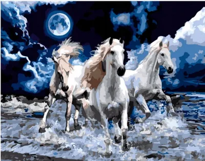 Obrázek produktu pro Norimpex Diamond Painting Horse trio 30x40cm