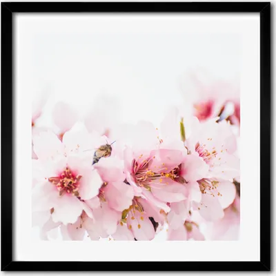 Produktbild von Bild - 50 cm x 50 cm - MDF - Rahmen, Wandkunst - Kirschblüten