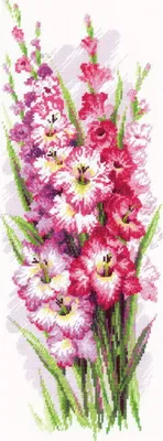 Produktbild von Riolis Kreuzstich Set "Charmante Gladiolen", Zählmuster, 20x50cm