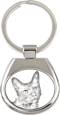 Image de Laperm porte-clés avec une photo de chat Art-Dog