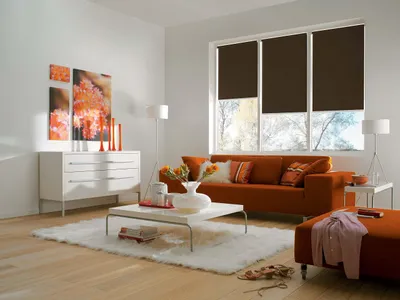Immagine prodotto di Tenda a rullo - Poliestere - Marrone cioccolato - 140 x 180 cm