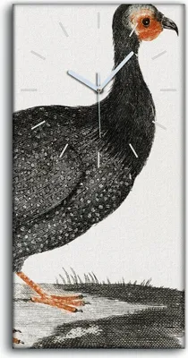 Produktbild von Wanduhr Uhr Wandbild Leinwand Geräuschlos 30x60 Zeichnung Tier Vogel Kunst - weiße Hände