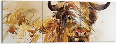 Produktbild von Bild auf Leinwand - Leinwandbild - 3 Teile - Stier Scotch Aquarell - 150x50cm - Wand Bild - Wanddeko - Wandbilder - Leinwanddruck - Bilder - Wanddekoration - Leinwand bilder - Wandbild - CA150x50-4708