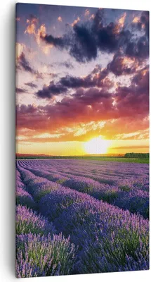 Produktbild von Bild auf Leinwand - Leinwandbild - Lavendel Berge Feld - 55x100cm - Wand Bild - Wanddeko - Leinwanddruck - Bilder - Kunstdruck - Wanddekoration - Leinwand bilder - Wandkunst - PA55x100-3816