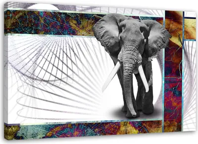Produktbild von Leinwandbild elefant tier abstrakt 90x60 cm Feeby farbe wandbild bereit zum aufhängen
