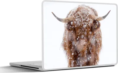 Produktbild von MuchoWow® Laptop Aufkleber Sticker Cover Schottisches Hochlandrind - Schneeflocke - Winter 32.5x23.5 cm - Sticker für Laptop - Selbstklebend