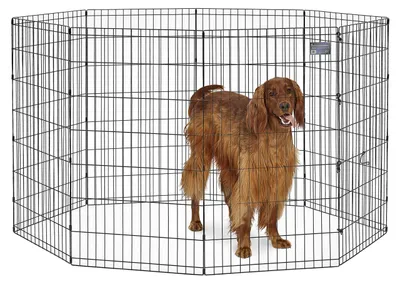 Immagine prodotto di Gabbia per cani Midwest Homes for Pets, in metallo, pieghevole, con porta, inclusa