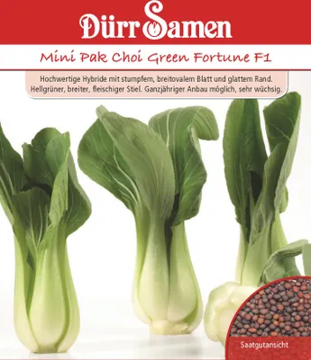 Produktbild von Mini Pak Choi Green Fortune F1 | Pak Choisamen von Dürr Samen