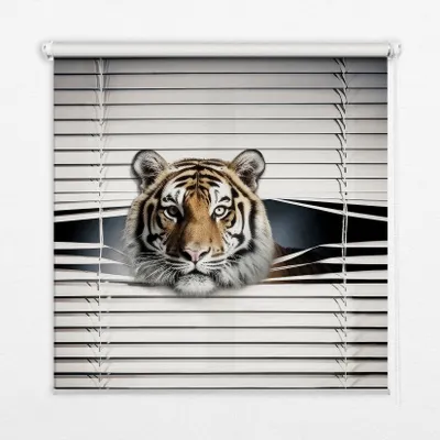 Produktbild von Seitenzug-Rollo Fensterrollo Jalousie - Lichtdurchlässig Springrollos - 130x180 cm - Tiger