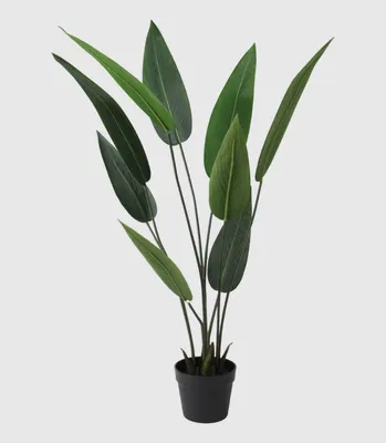 Obrázek produktu pro Umělá Rostlina Strelicie 110Cm