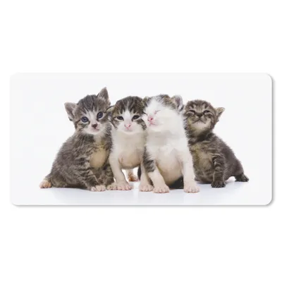 Produktbild von MuchoWow® Mauspad Mousepad Katze - Haustiere - Fell - Porträt 60x30 cm - Mousepads - Maus Mat - Pad - Mausunterlage - Nachhaltig