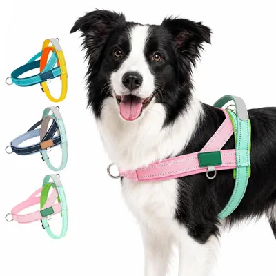 Immagine prodotto di Imbracatura per cani anti-tiro, riflettente, imbottita, regolabile, rosa e verde menta, taglia XL