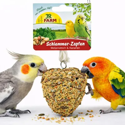 Zdjęcie produktu dla JR FARM Smakowita Szyszka dla smakoszy - pyszna przekąska dla wszystkich nimf i innych mniejszych papug 120 g