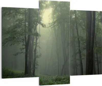 Produktbild von Bild auf Leinwand - Leinwandbild - Wald Nebel Baum - 130x100cm - Wand Bild - Wanddeko - Wandbilder - Leinwanddruck - Bilder - Kunstdruck - Wanddekoration - Leinwand bilder - Wandkunst - CB130x100-3543